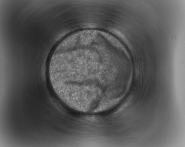 X0000089690439200707201723