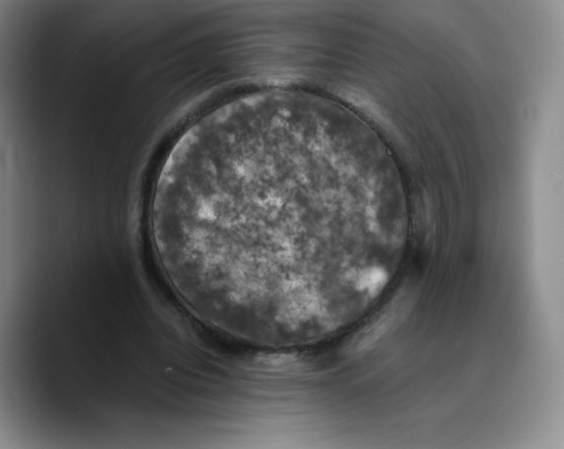 X0000089690440200707201723