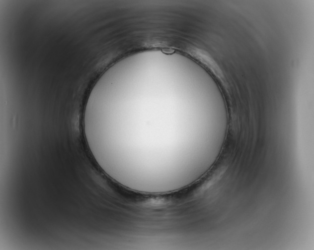 X0000089690441200707201723