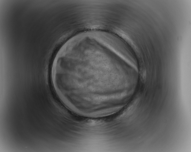 X0000089690442200707201723