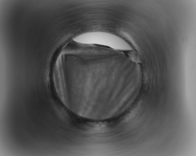 X0000089690443200707201723