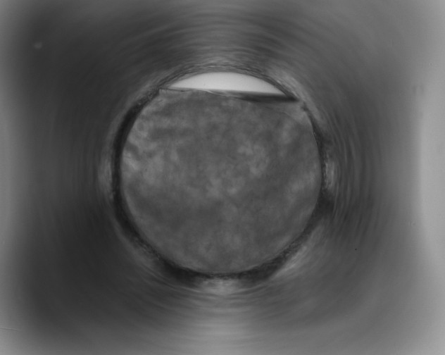 X0000089690444200707201723
