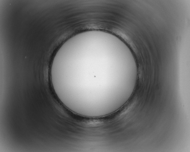 X0000089690445200707201723