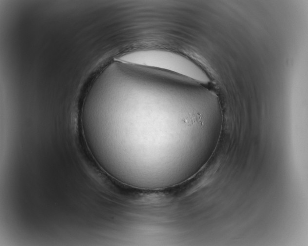 X0000089690446200707201723