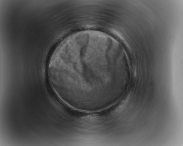 X0000089690447200707201723