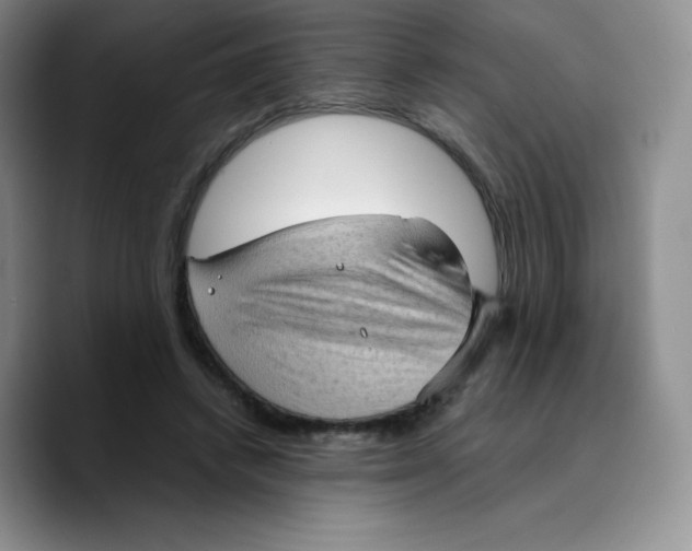 X0000089690448200707201723