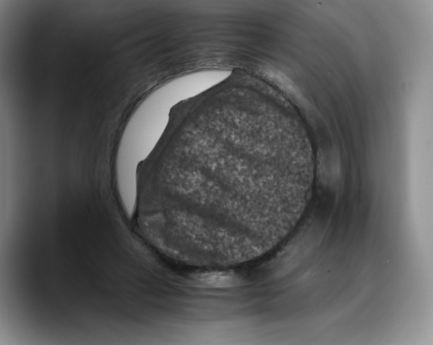 X0000089690449200707201723
