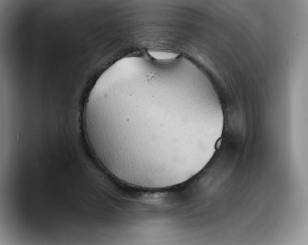 X0000089690450200707201723