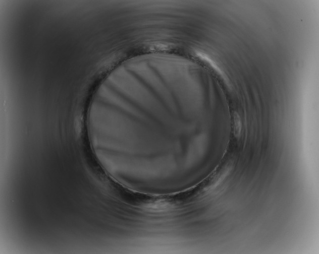 X0000089690451200707201723