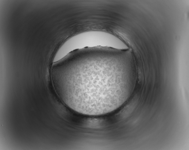 X0000089690453200707201723