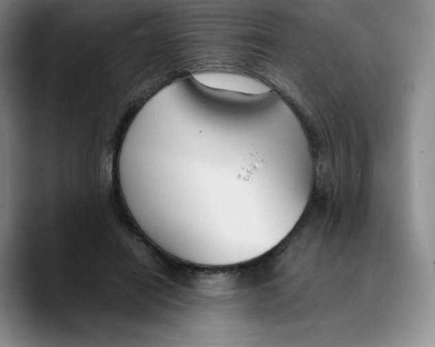 X0000089690454200707201723