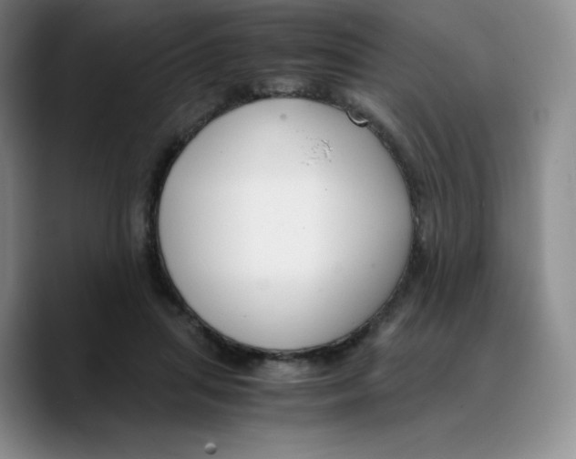 X0000089690455200707201723