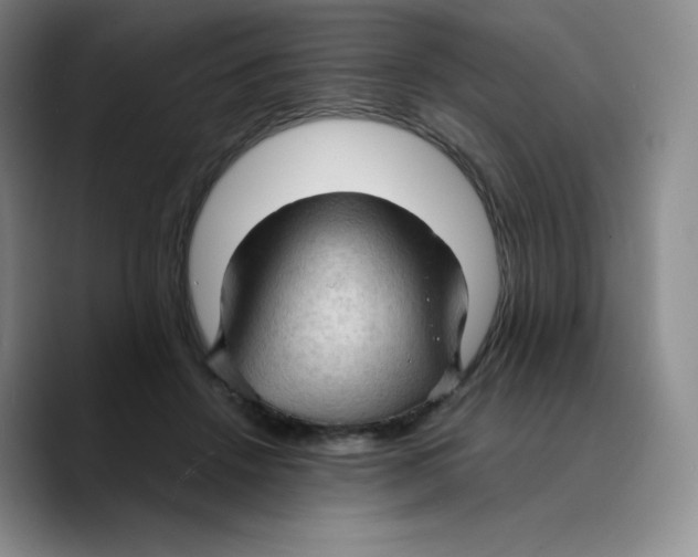X0000089690456200707201723