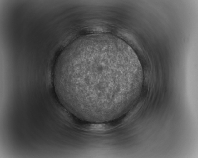 X0000089690457200707201723