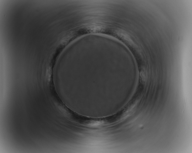 X0000089690458200707201723