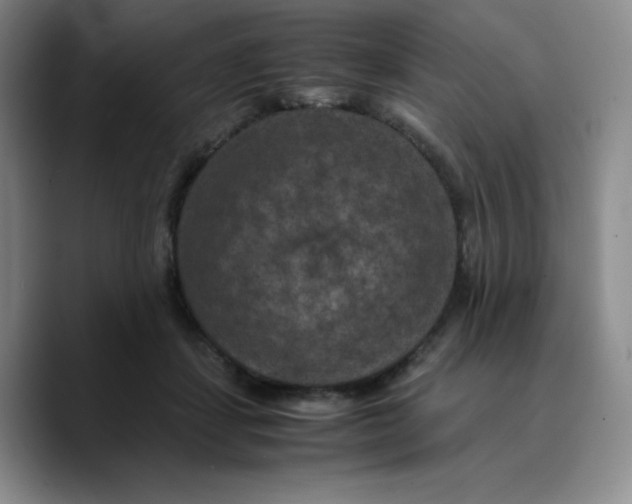 X0000089690459200707201723