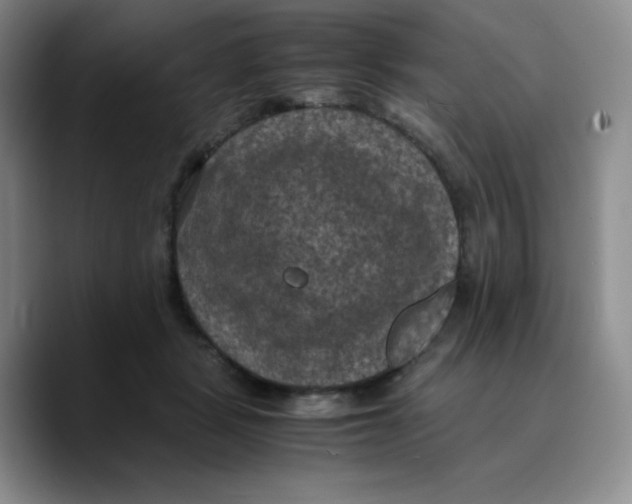 X0000089690461200707201723