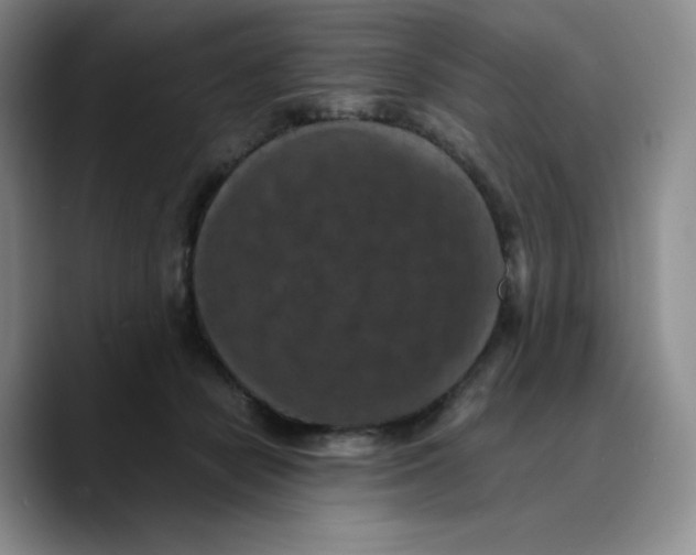 X0000089690462200707201723