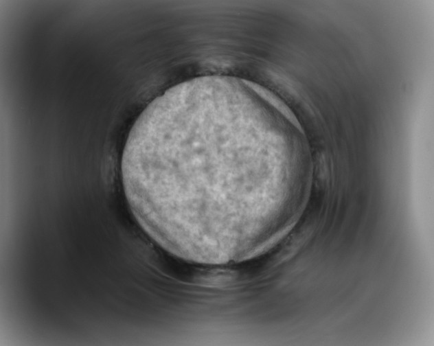 X0000089690463200707201723