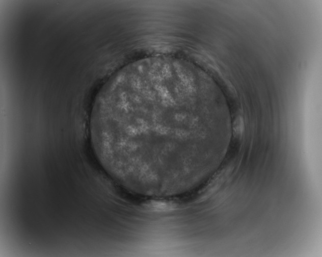 X0000089690464200707201724
