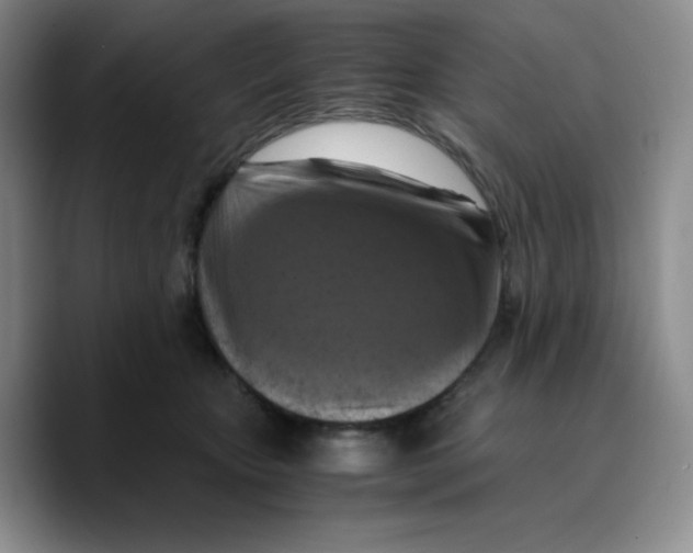 X0000089690467200707201724