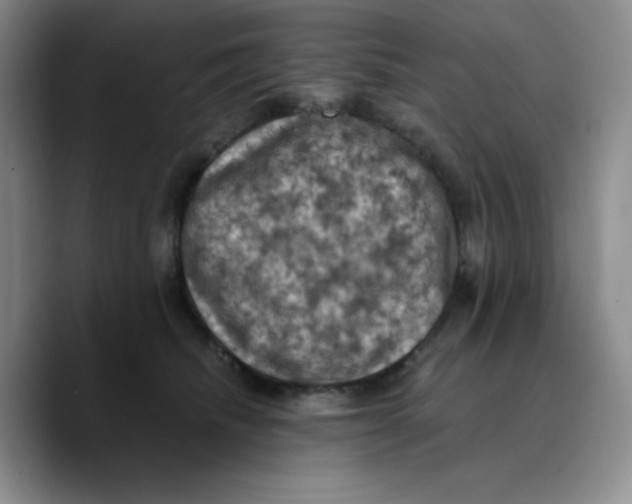 X0000089690468200707201724