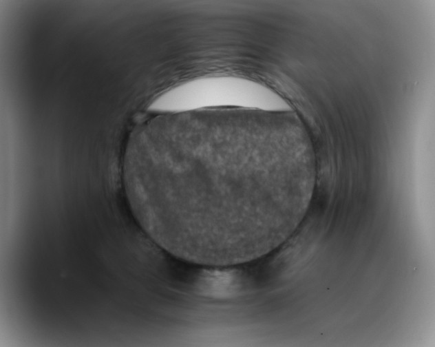 X0000089690469200707201724