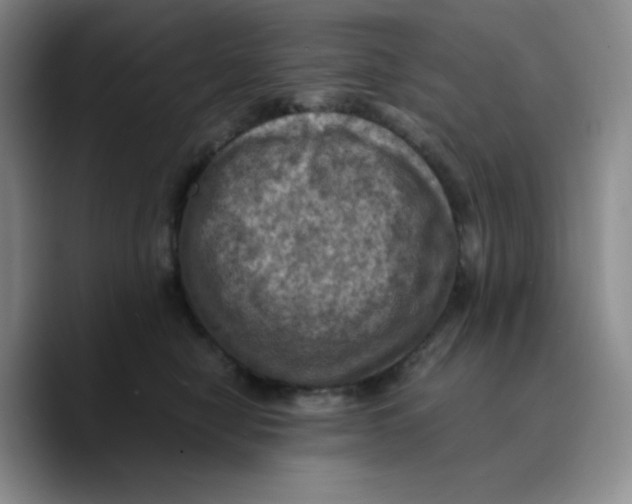 X0000089690470200707201724