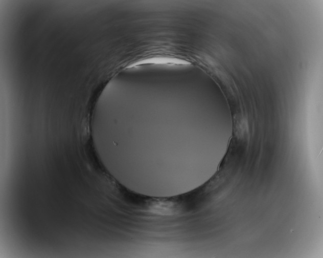 X0000089690471200707201724