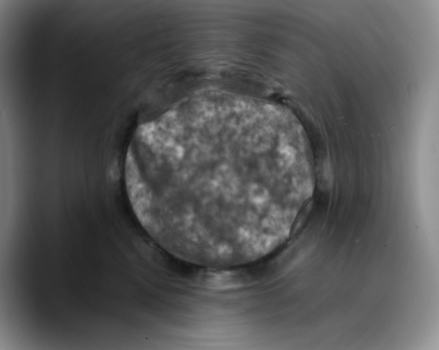 X0000089690472200707201724