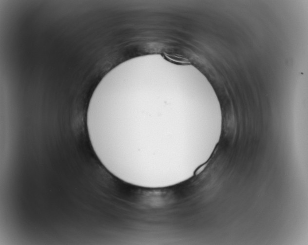 X0000089690473200707201724
