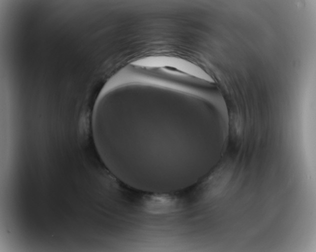 X0000089690475200707201724