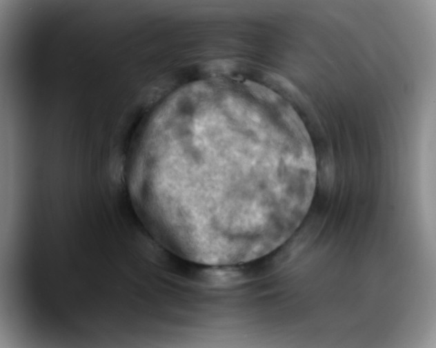 X0000089690477200707201724