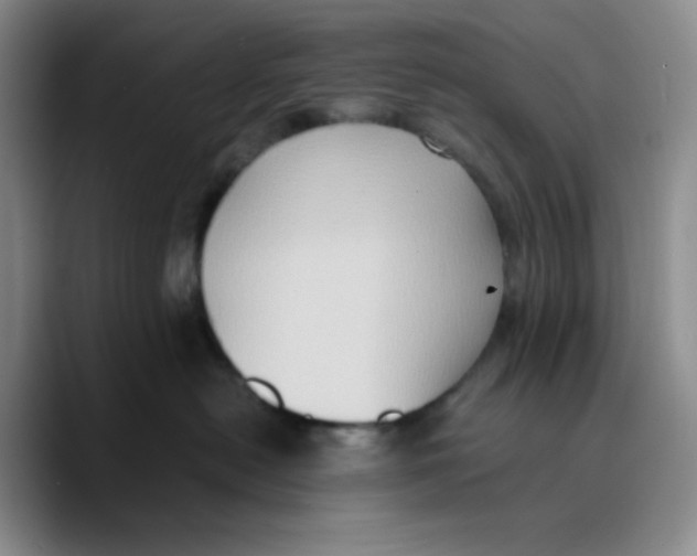 X0000089690478200707201724