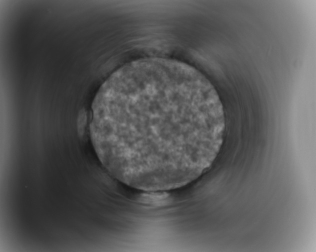 X0000089690480200707201724