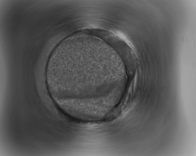 X0000089690481200707201723