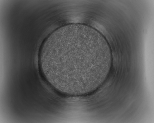 X0000089690482200707201723