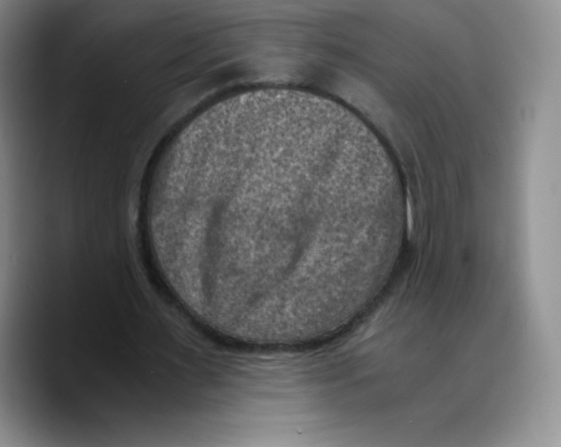 X0000089690483200707201723