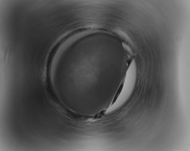 X0000089690484200707201723