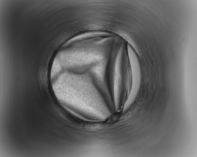 X0000089690485200707201723