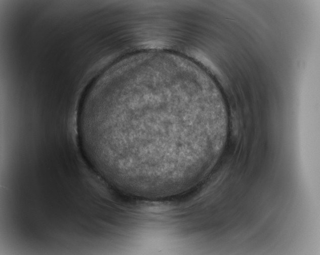 X0000089690486200707201723