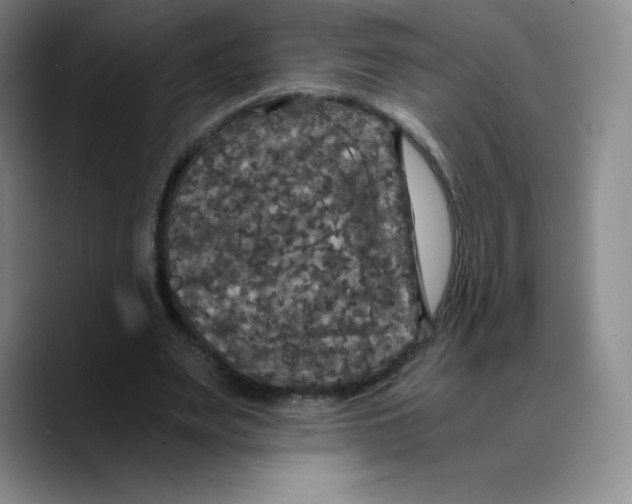 X0000089690487200707201723
