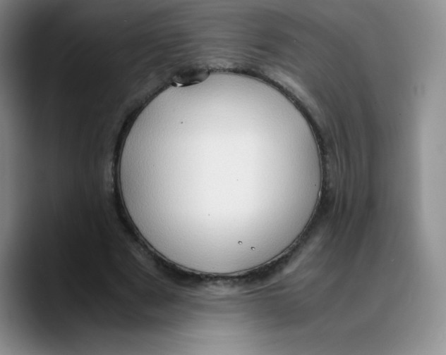 X0000089690489200707201723