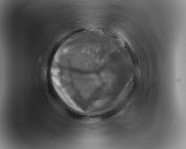 X0000089690491200707201723