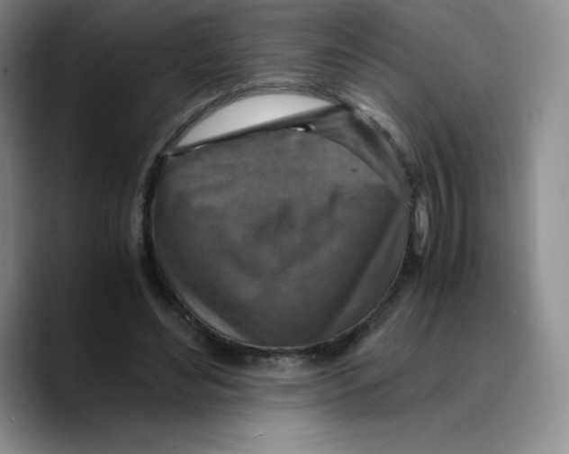X0000089690492200707201723