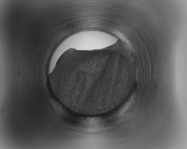 X0000089690493200707201723