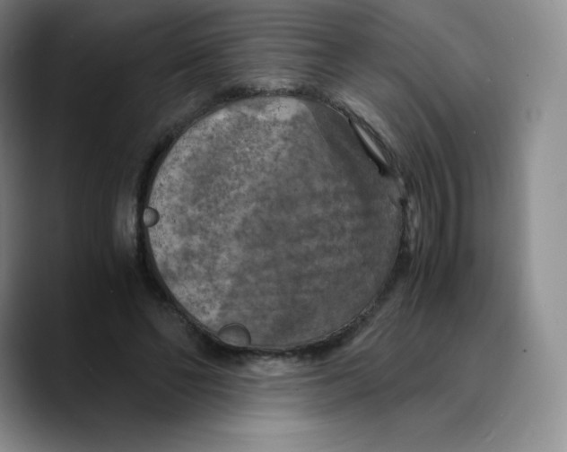 X0000089690494200707201723