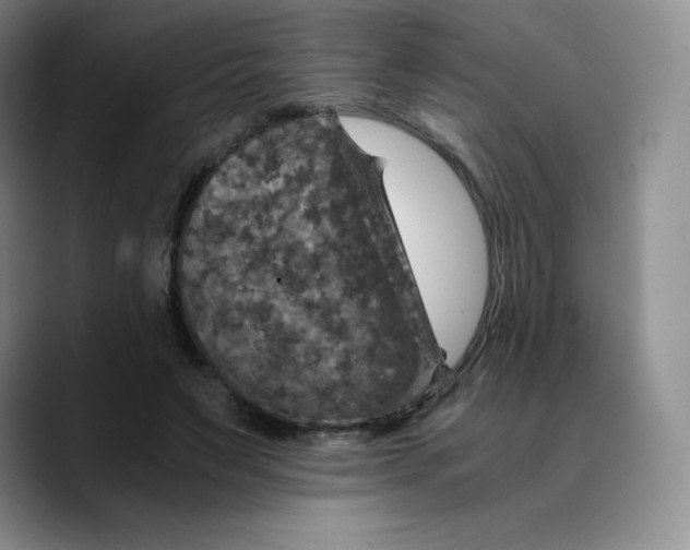 X0000089690495200707201723