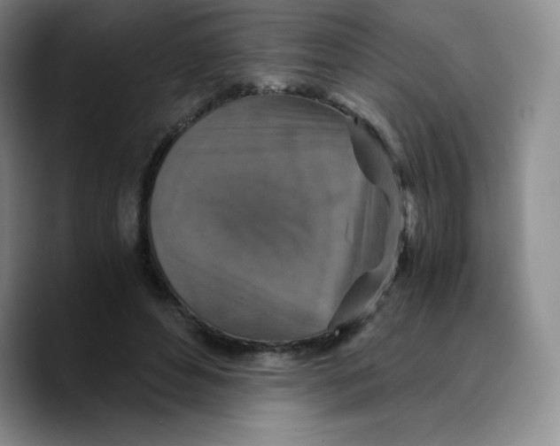 X0000089690496200707201723