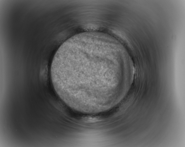 X0000089690498200707201723